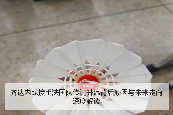 齐达内或接手法国队传闻升温背后原因与未来走向深度解读